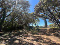 Terrain - 720 — photo 3