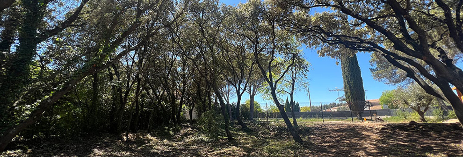 Local industriel  720 m² à vendre à Castries (34160)