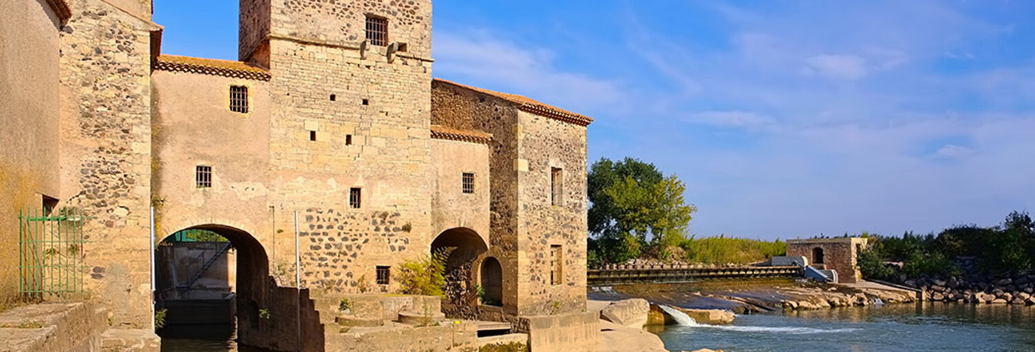 Local industriel  350 m² à vendre à Saint-Thibéry (34630)