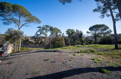 Terrain - 900 — photo du bien
