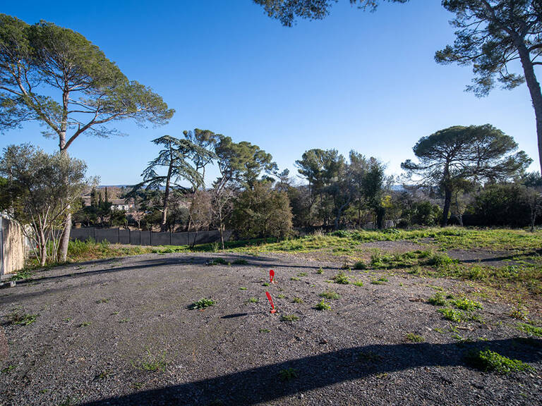 Terrain - 900 — photo 1