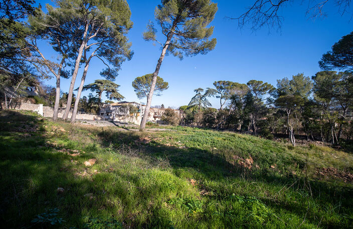 Terrain - 900 — photo 2