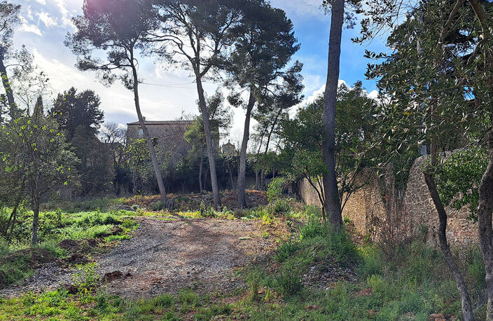 Terrain - 900 — photo 4