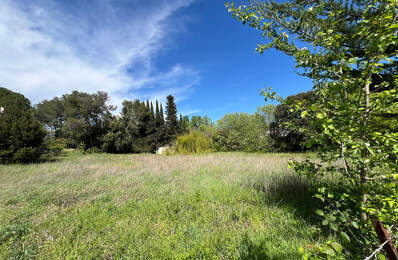 Terrain - 1019 — photo du bien