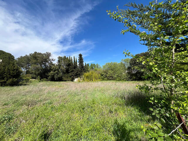 Terrain - 1019 — photo du bien