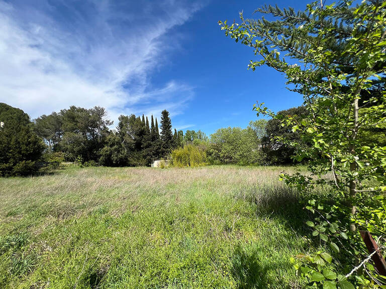 Terrain - 1019 — photo 1