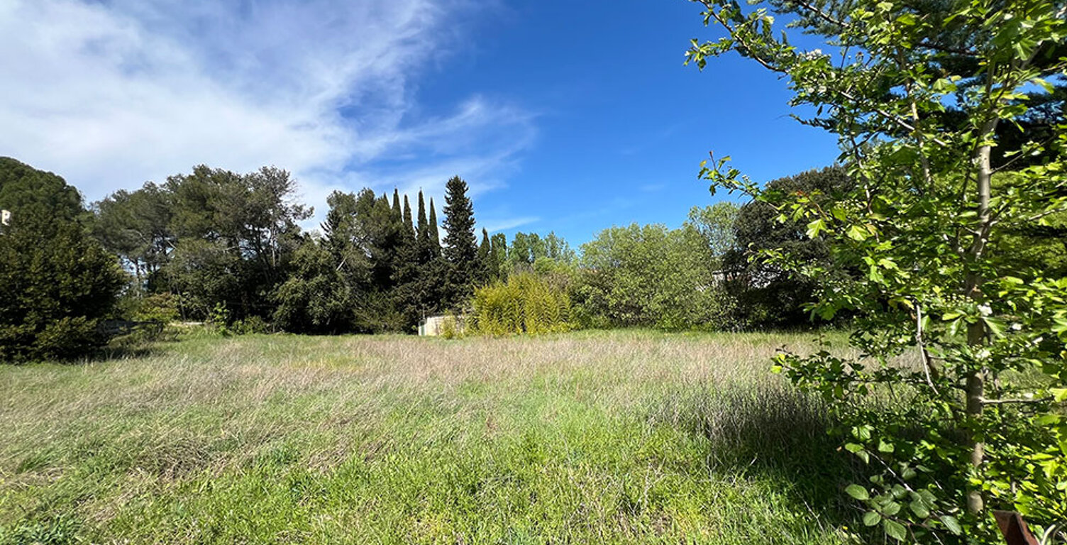 Terrain - 1019 — photo 1