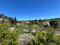 Terrain - 1803 — photo 2