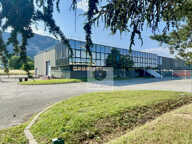 Local Guilherand-Granges + bureaux — photo 3