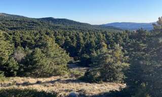 Terrain  16040 m² à vendre à Gréolières (06620)