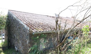Photo N° 5