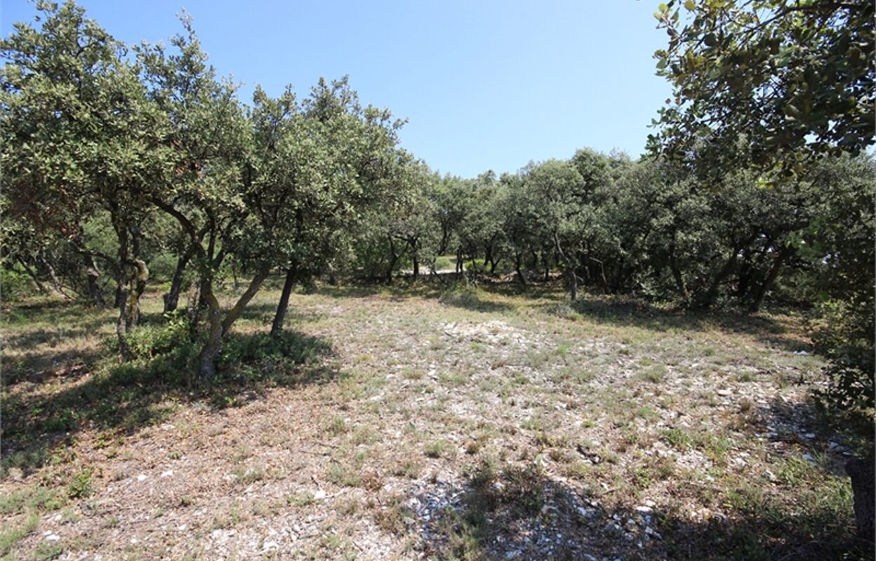 terrain  pièces 1650 m2 à vendre à Cavaillon (84300)