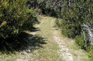 terrain  pièces 11570 m2 à vendre à Gréolières (06620)