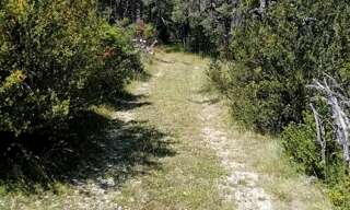 Terrain  11570 m² à vendre à Gréolières (06620)