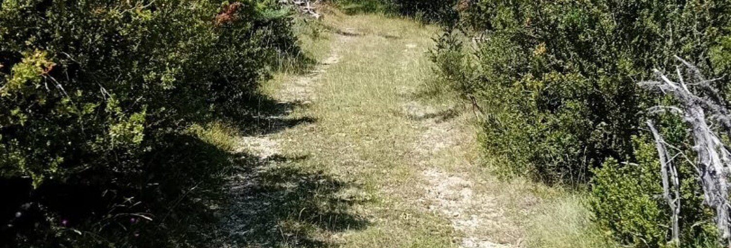 Terrain  11570 m² à vendre à Gréolières (06620)