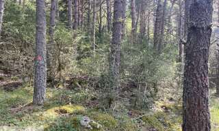 Terrain  11010 m² à vendre à Gréolières (06620)