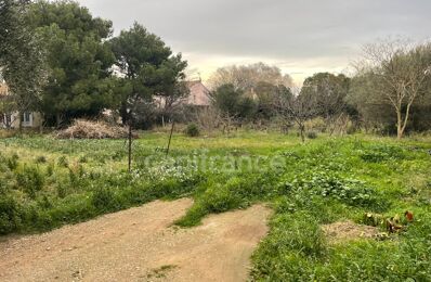 vente terrain 170 000 € à proximité de Argens-Minervois (11200)