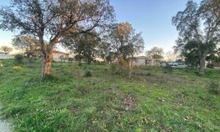 Terrain  1000 m² à vendre à Aléria (20270)