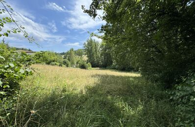 vente terrain 55 000 € à proximité de Saint-Caprais-de-Lerm (47270)