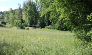 Photo N° 4