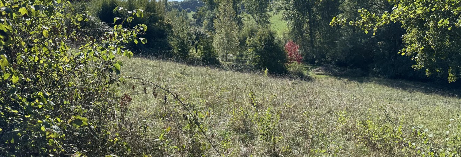 Terrain  2841 m² à vendre à Colayrac-Saint-Cirq (47450)