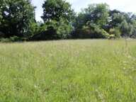 Terrain à construire  2841 m²  — photo 4