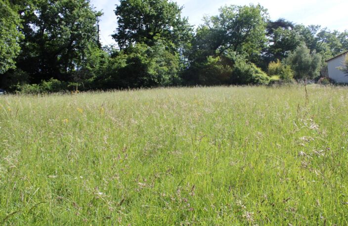 Vente terrain  2841 m² Colayrac-Saint-Cirq (47450) — photo 4