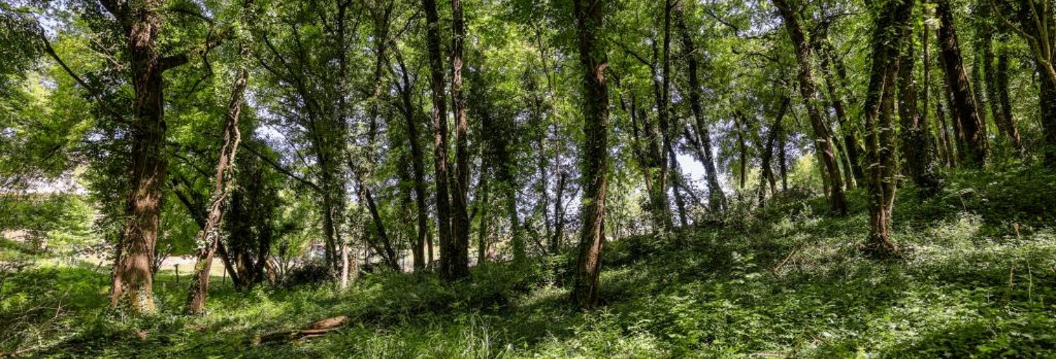 Terrain  8860 m² à vendre à La Boixe (16330)