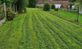 Photo N° 3