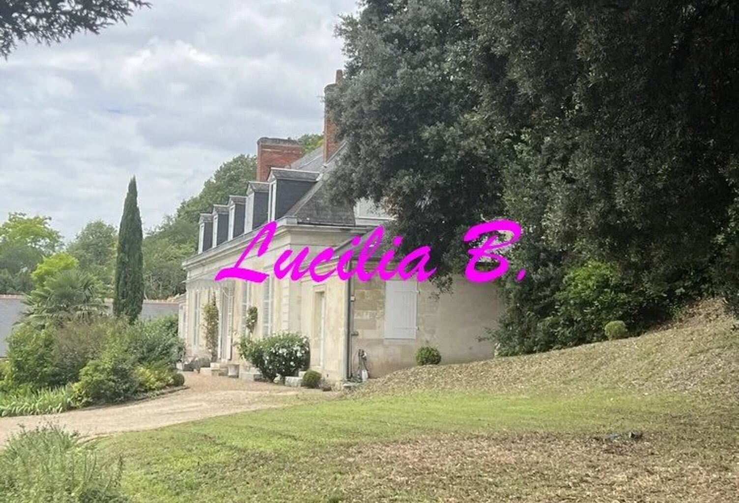 AUX PORTES DE TOURS - Demeure d'exception — photo 1
