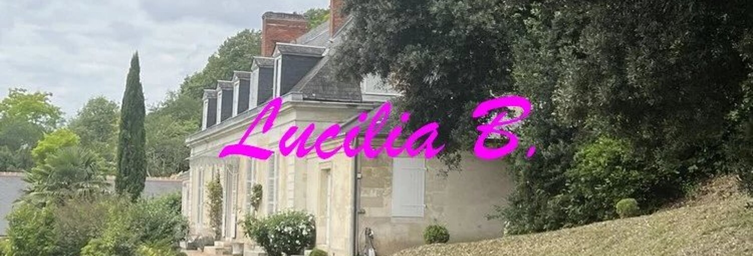 Maison 9 Pièces 300 m² à vendre à Tours (37000)