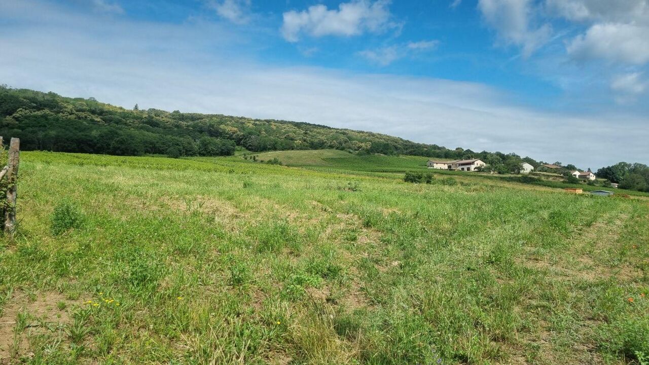 terrain  pièces 2342 m2 à vendre à Chasselas (71570)