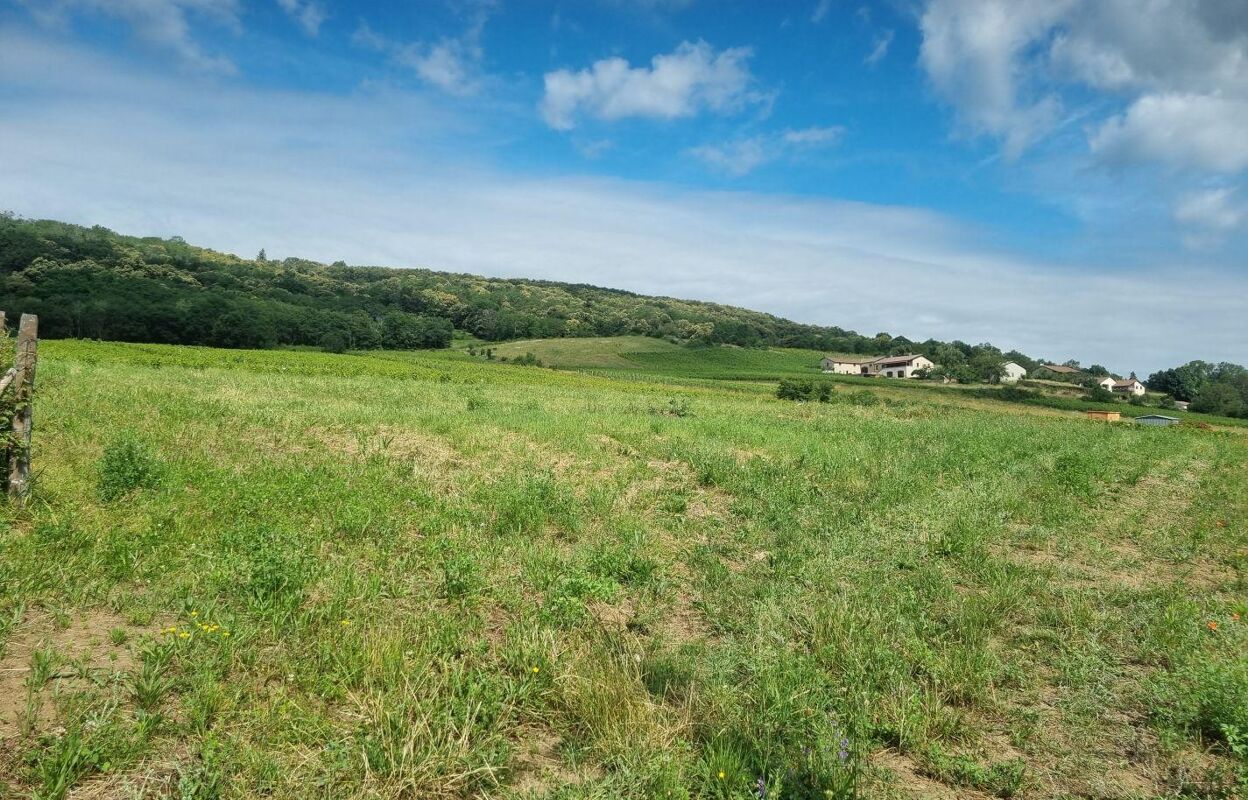 terrain  pièces 2342 m2 à vendre à Chasselas (71570)