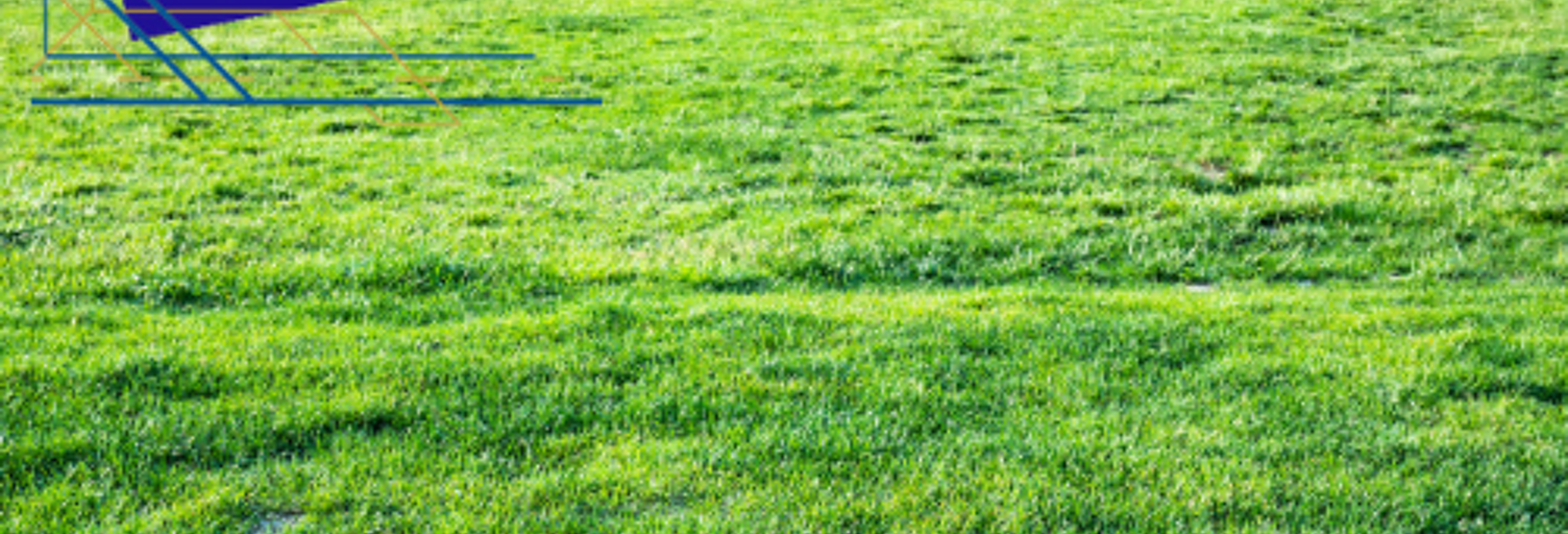 Terrain  1140 m² à vendre à Casteljaloux (47700)