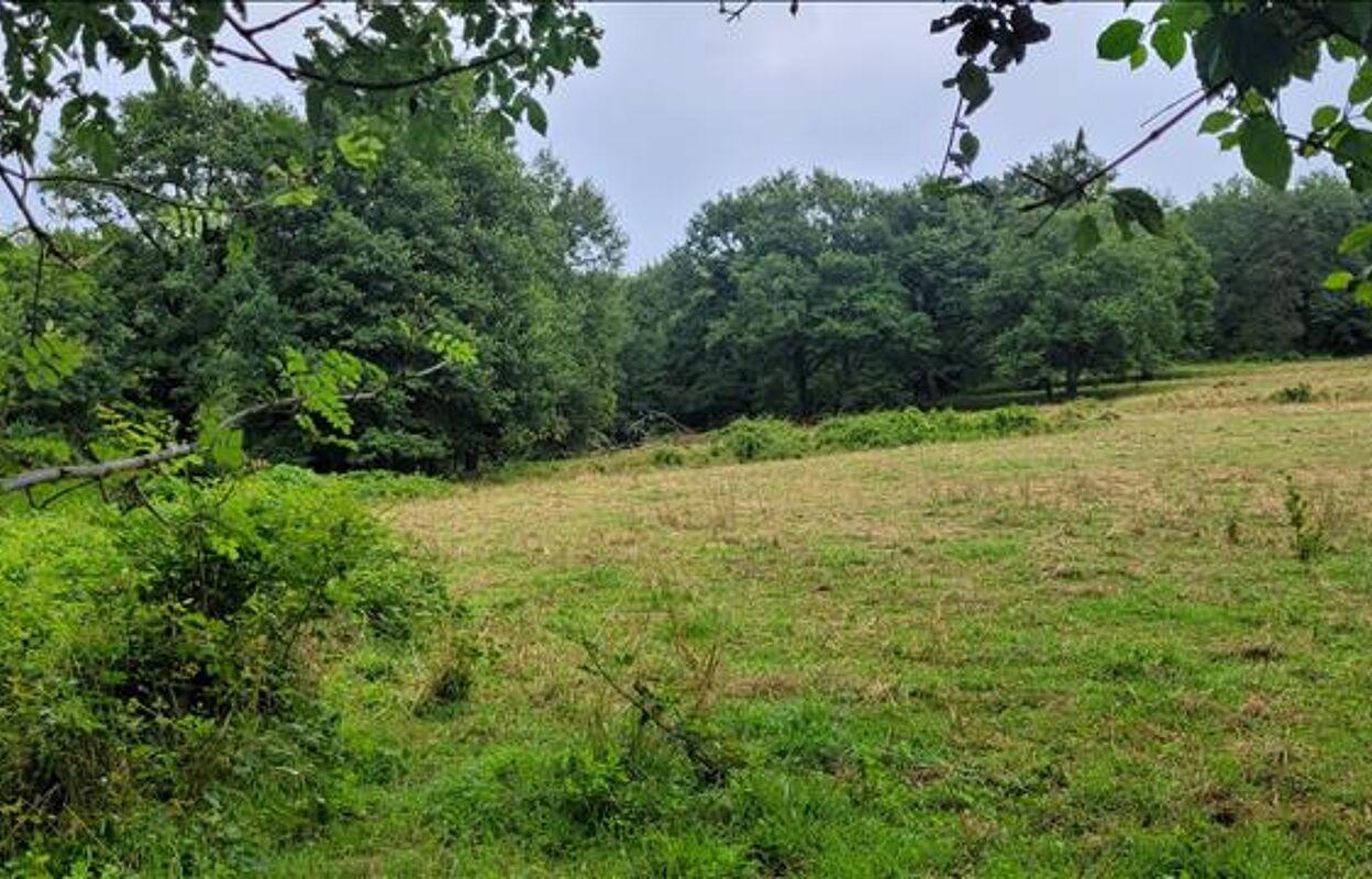 terrain  pièces 2110 m2 à vendre à Gagnac-sur-Cère (46130)