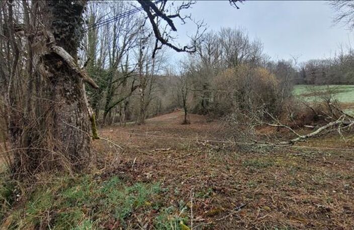 Terrain à bâtir de 0 pièces principales — photo 4