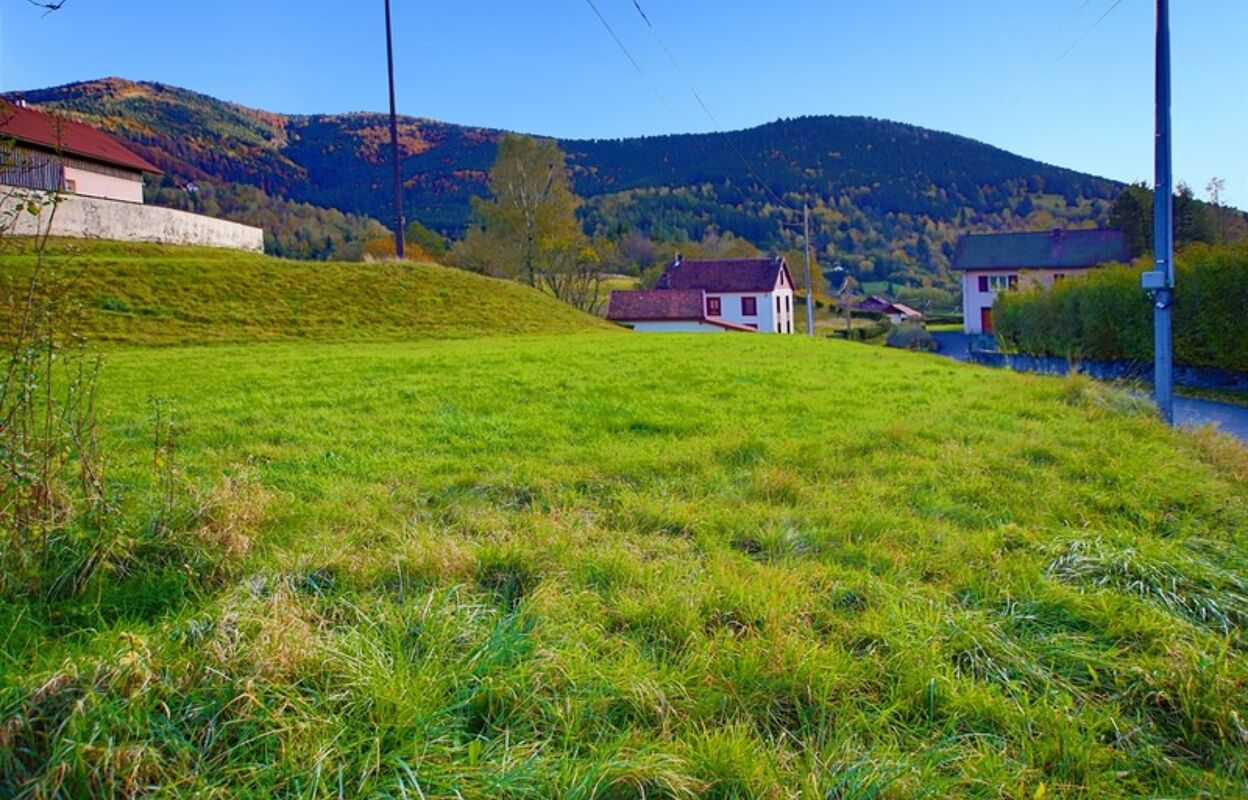 terrain  pièces 1104 m2 à vendre à Bussang (88540)