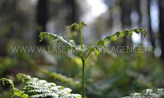 Terrain   m² à vendre à Arès (33740)