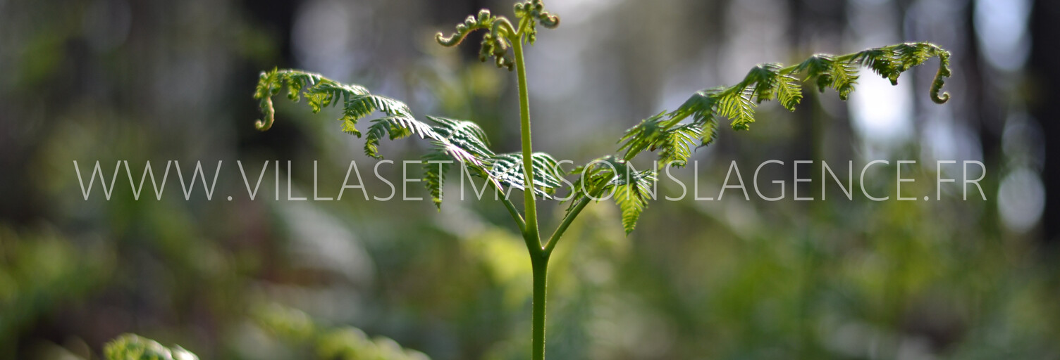 Terrain   m² à vendre à Arès (33740)