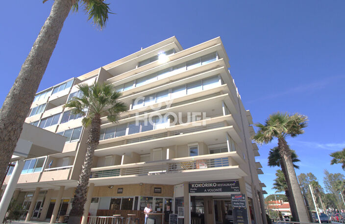 Appartement T1 Bis- Vue Canigou — photo 5