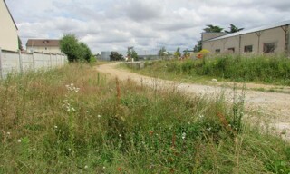 Photo N° 3