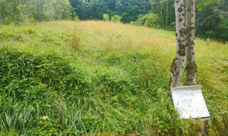 Photo N° 3