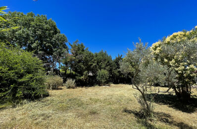 vente terrain 239 000 € à proximité de Saturargues (34400)