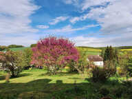 VUE SUR LA CAMPAGNE,MAISON 198 M2,4 GRANDES CHAMBRES ,SUR SO — photo 2