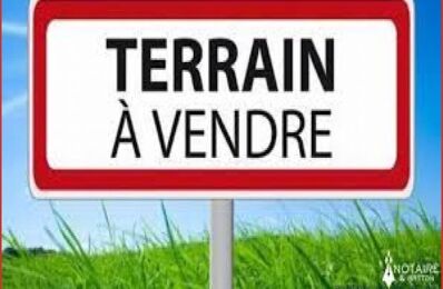 vente terrain 787 500 € à proximité de Sainte-Marie-Kerque (62370)