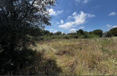 terrain  pièces 1248 m2 à vendre à Marseillan (34340)