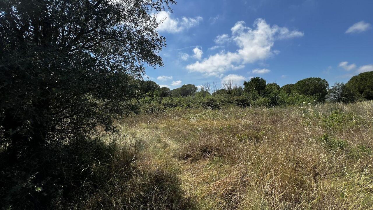 terrain  pièces 1248 m2 à vendre à Marseillan (34340)