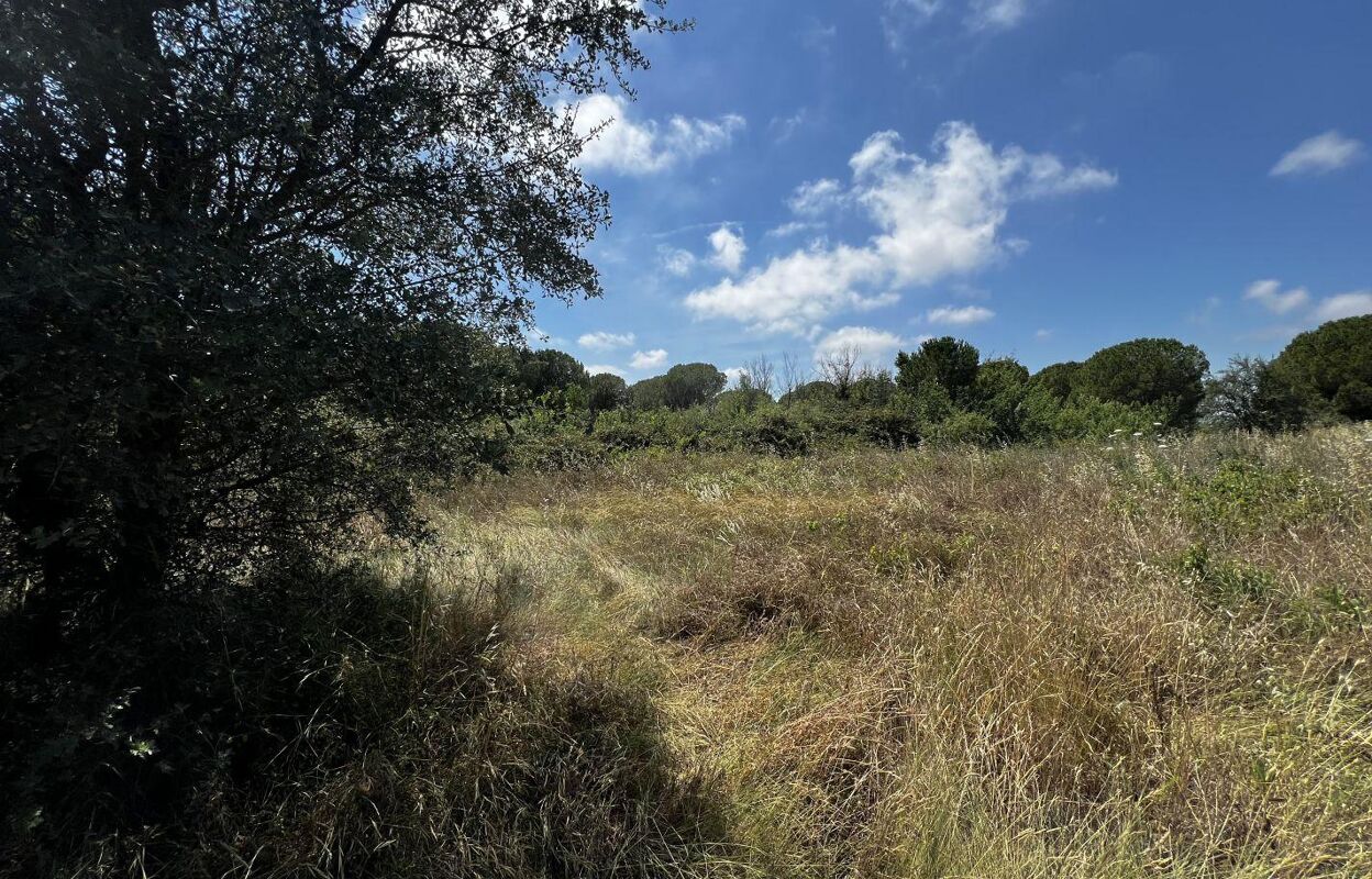 terrain  pièces 1248 m2 à vendre à Marseillan (34340)