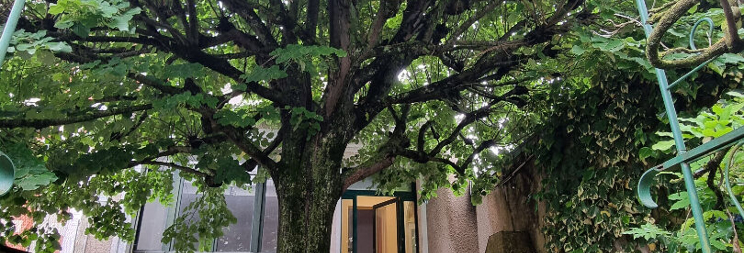 Maison 8 Pièces 230 m² à vendre à Auxerre (89000)