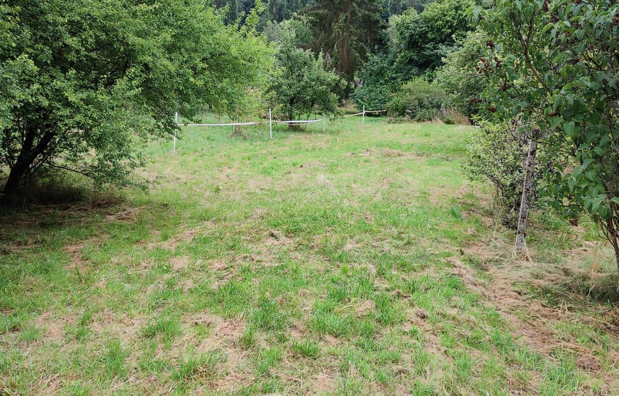 terrain  pièces 650 m2 à vendre à Nouzonville (08700)